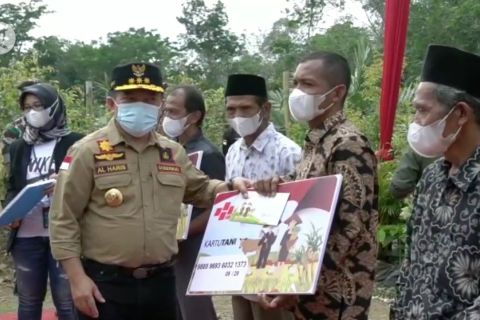 Gubernur Jambi dorong tanaman Porang jadi komoditas unggulan