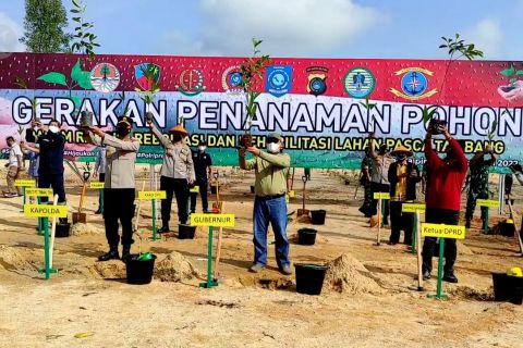 Gubernur dan Kapolda Babel reboisasi lahan eks tambang ilegal