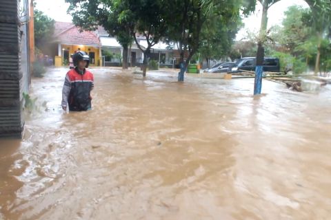 Korban jiwa akibat banjir di Jember capai 3 orang