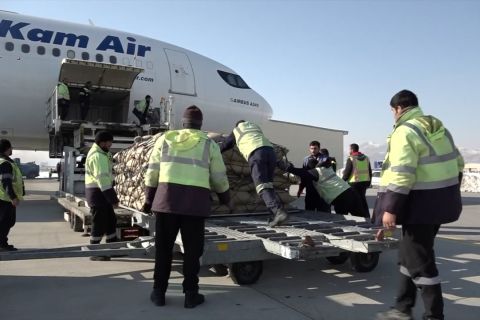 Maskapai Afghanistan ekspor kacang pinus ke China