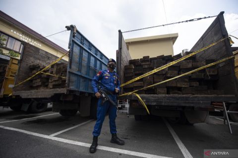 Ungkap Kasus Illegal Logging di Perbatasan Sumsel-Jambi