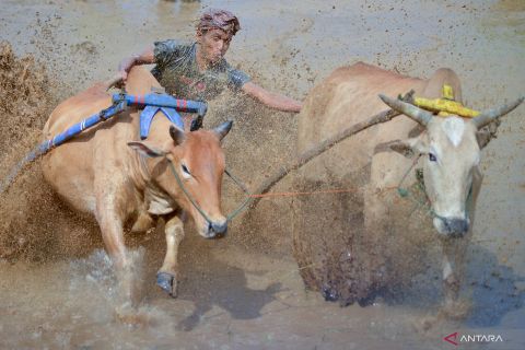 Foto pilihan pekan pertama Februari  2022