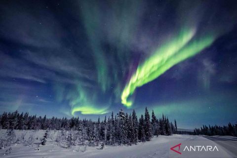 Mengenal fenomena alam si cantik Aurora