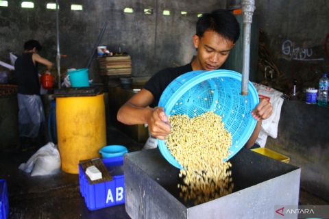 Harga kedelai naik, perajin tahu memperkecil  ukuran tahu untuk mengurangi kerugian