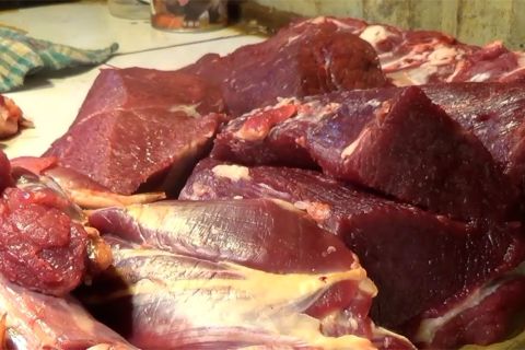 Disdagin telusuri penyebab kenaikan harga daging sapi ke importir
