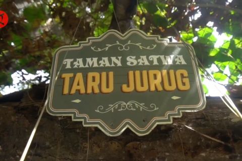Gibran akan revitalisasi TSTJ jadi miniatur Taman Safari