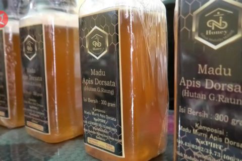 Mengubah hobi menjadi pundi pundi rezeki