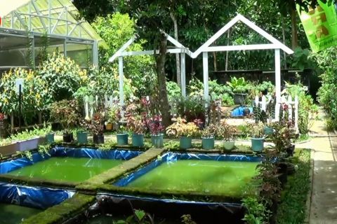 Pemanfaatan lahan tandus jadi wisata edukasi perikanan