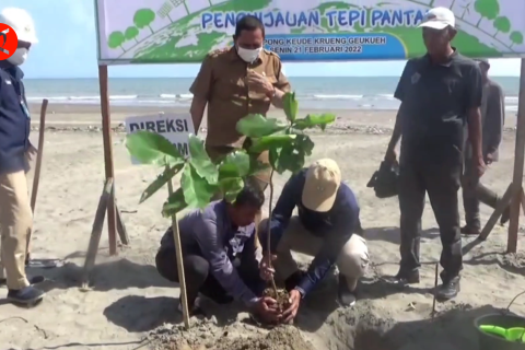 PT PIM tanam 200 pohon Ketapang di lokasi sekitar pabrik