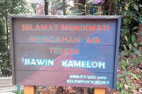 Menikmati pesona wisata alam Tahura Lapak Jaru