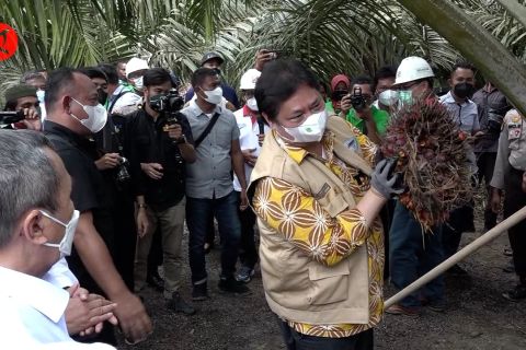 Menko perekonomian :Semangat kemitraan strategis untuk percepatan PSR