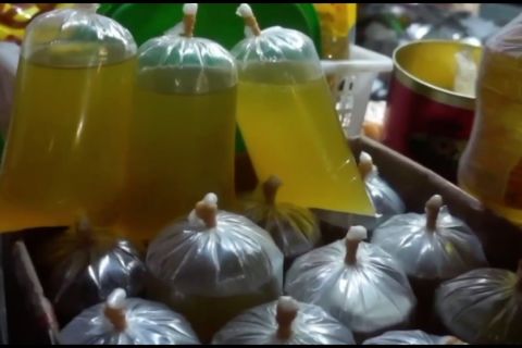Pemerintah dorong minyak goreng tidak mengacu harga CPO dunia