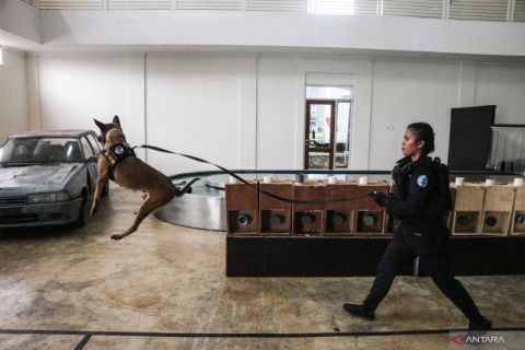 Pelatihan anjing pelacak BNN