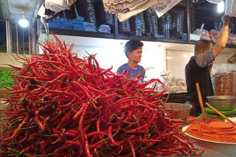 Harga Cabai Merah Turun