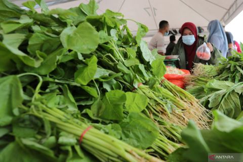 Gebyar Pasar Tani Aceh 2022