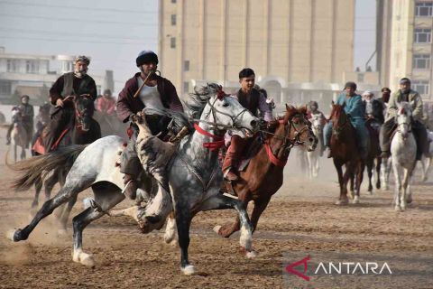 Kemeriahan perayaan sambut musim semi di Afghanistan