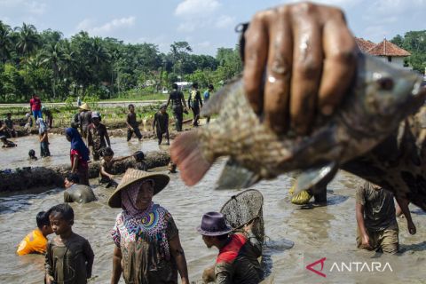 Tradisi tangkap ikan sambut datangnya bulan ramadhan