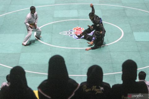 Kejuaraan Nasional Pencak Silat Pagar Nusa