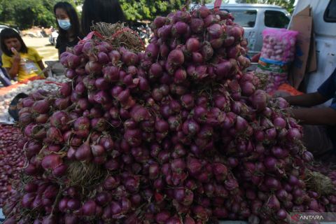 Penjualan Bawang Jelang Ramadan