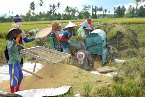 BPS Gorontalo sebut kesejahteraan petani membaik