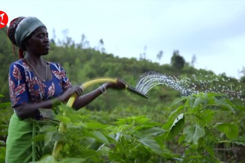 FAO promosikan akses berkelanjutan ke sumber daya air