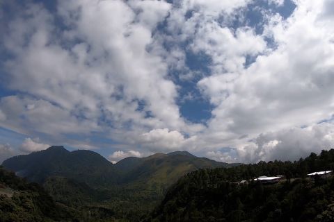 Menjaga hutan produksi dengan skema taksonomi hijau