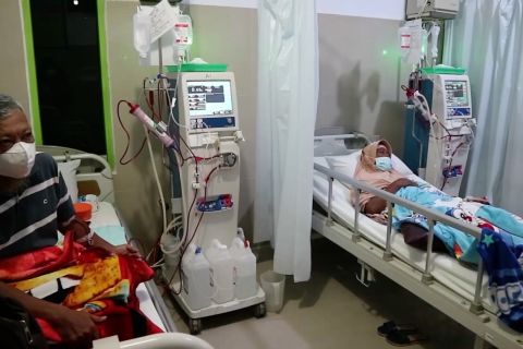 PERNEFRI ungkap empat penyebab utama penyakit ginjal kronik