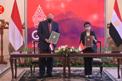 RI-Mesir perkuat 3 bidang kerja sama bilateral