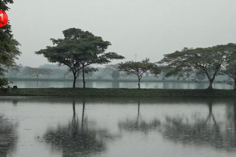 Luhut: Citarum Harum atasi banjir dan pencemaran capai 80%