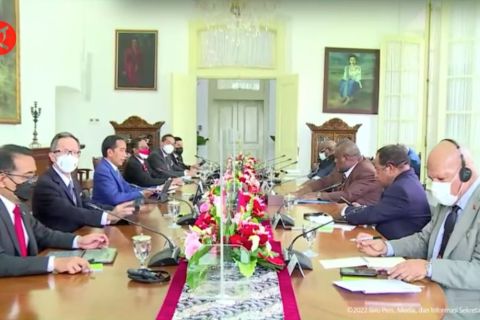Perbatasan PNG kembali dibuka, RI siap pulihkan denyut ekonomi