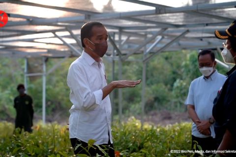 Presiden Jokowi: Pembangunan IKN akan diawali rehabilitasi hutan