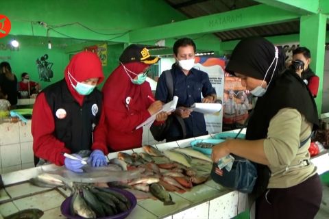 SKIPM berikan edukasi mempertahankan mutu ikan ke para pedagang