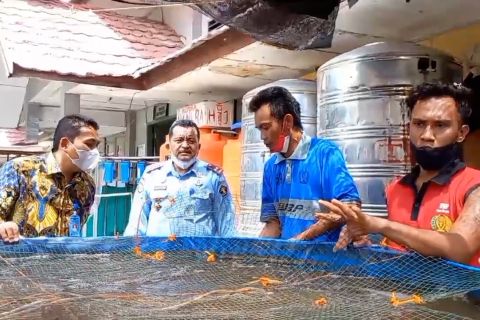 Lapas Palu maksimalkan pembinaan untuk narapidana