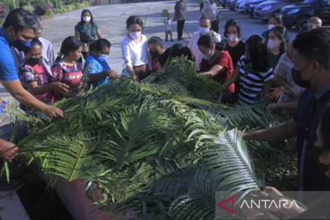 PERAYAAN MINGGU PALMA DI KUPANG