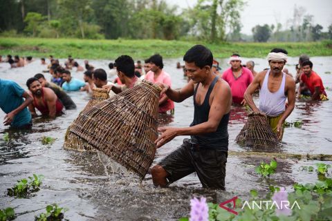 Tradisi menangkap ikan secara tradisional di Danau Digholi India