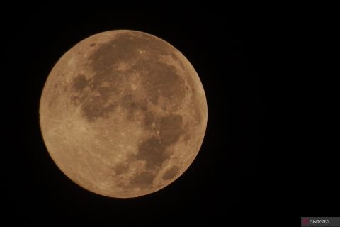Bulan purnama merah jambu