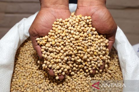 Bulog salurkan kedelai impor bersubsidi