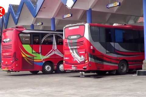 Angkut pemudik keluar Bali Terminal Mengwi kerahkan 127 armada