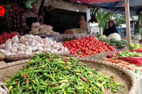 Ditjen Pajak pastikan beberapa barang dan jasa dapat insentif PPN