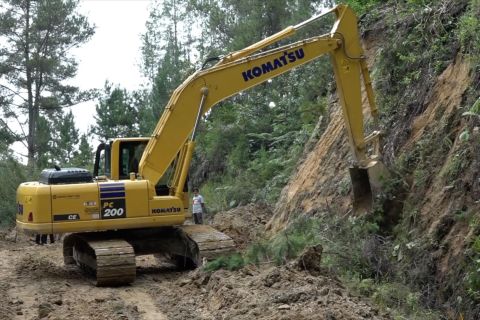 Program Sirtunisasi jadi prioritas Pemkab Samosir dalam RPJMD