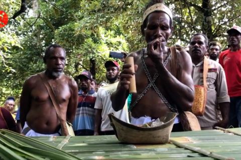 Kembalinya Sasi Pala di Kampung Kufuriyai dan Manggera di Kaimana