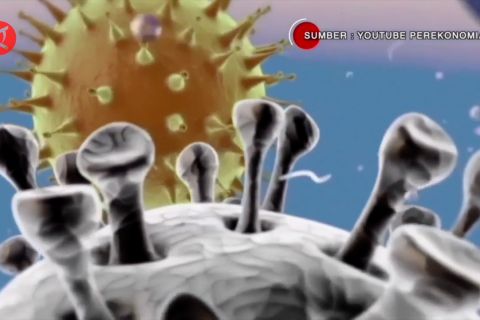 WHO laporkan rekombinan XE, epidemiolog sebut pandemi belum usai