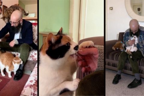 Zaid Alshurbaji, ayah bagi kucing liar di Amman