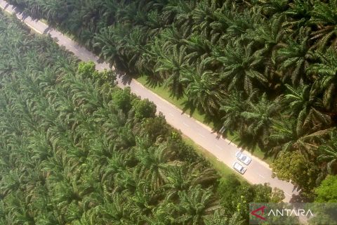 Arus mudik jalur alternatif Jambi - Sumbar