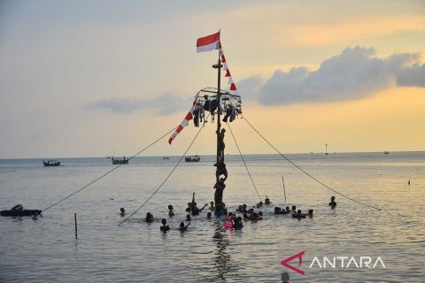Lomba panjat pinang di laut saat tradisi lebaran ketupat