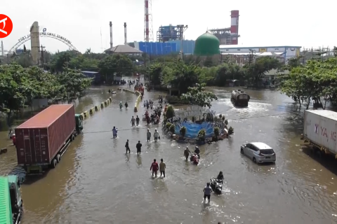 1.500 KK terdampak rob di Kota Semarang