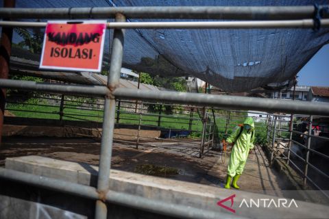 Pencegahan wabah PMK di RPH Ciroyom Bandung