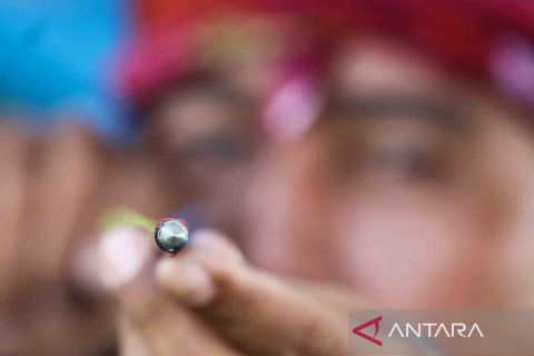 Gladen Ageng Panahan Tradisional sambut HUT ke-729 Kota Surabaya