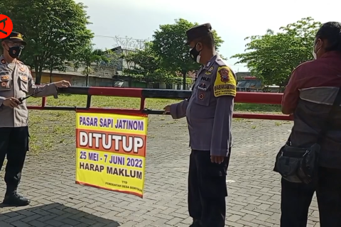 Kasus PMK merebak, pasar hewan se-Klaten ditutup sementara