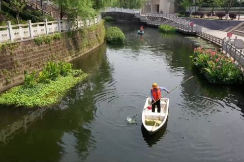 Kualitas air Sungai Linjiang di Chongqing meningkat pesat